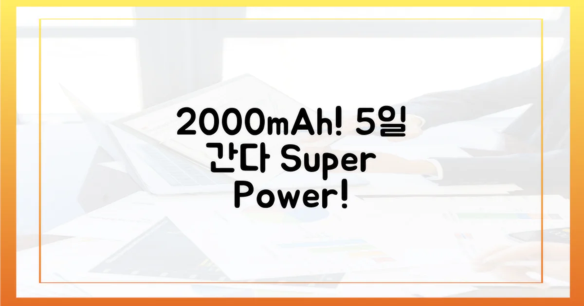 1인당 2000mAh, 5일간 사용