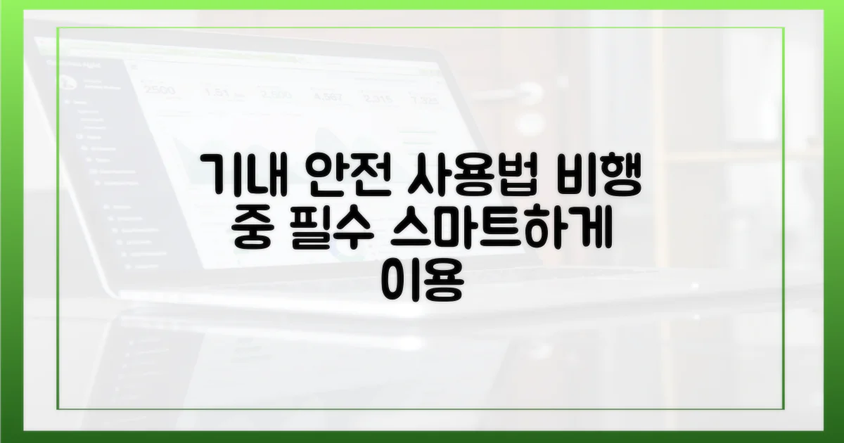 비행 중 안전한 사용법