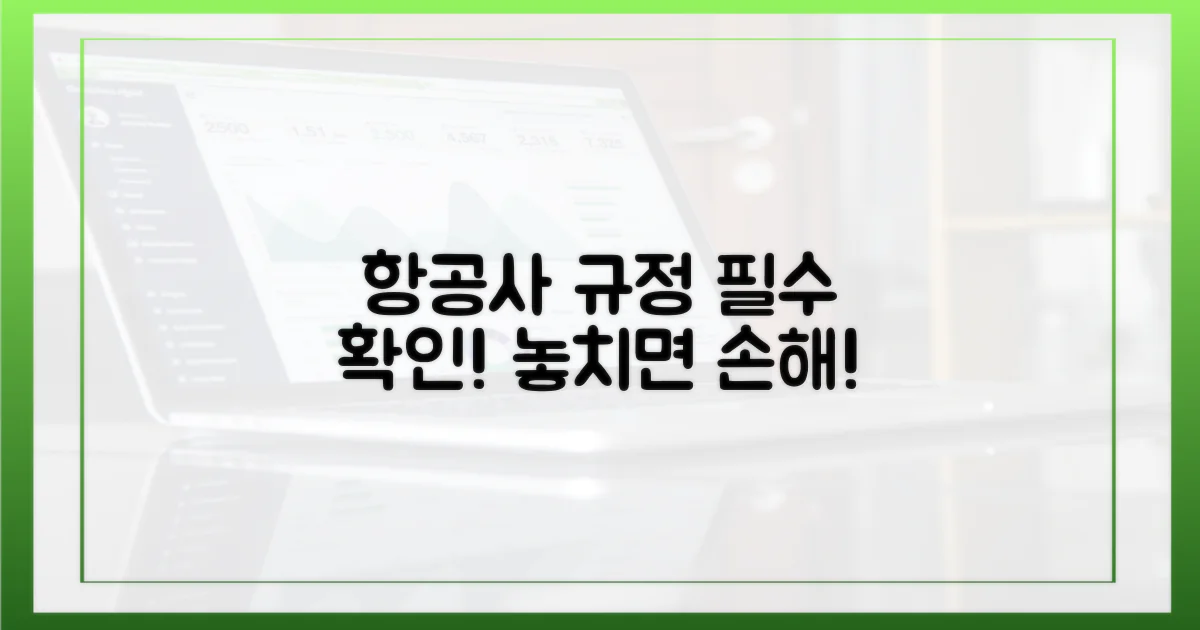 항공사별 규정 확인 필수