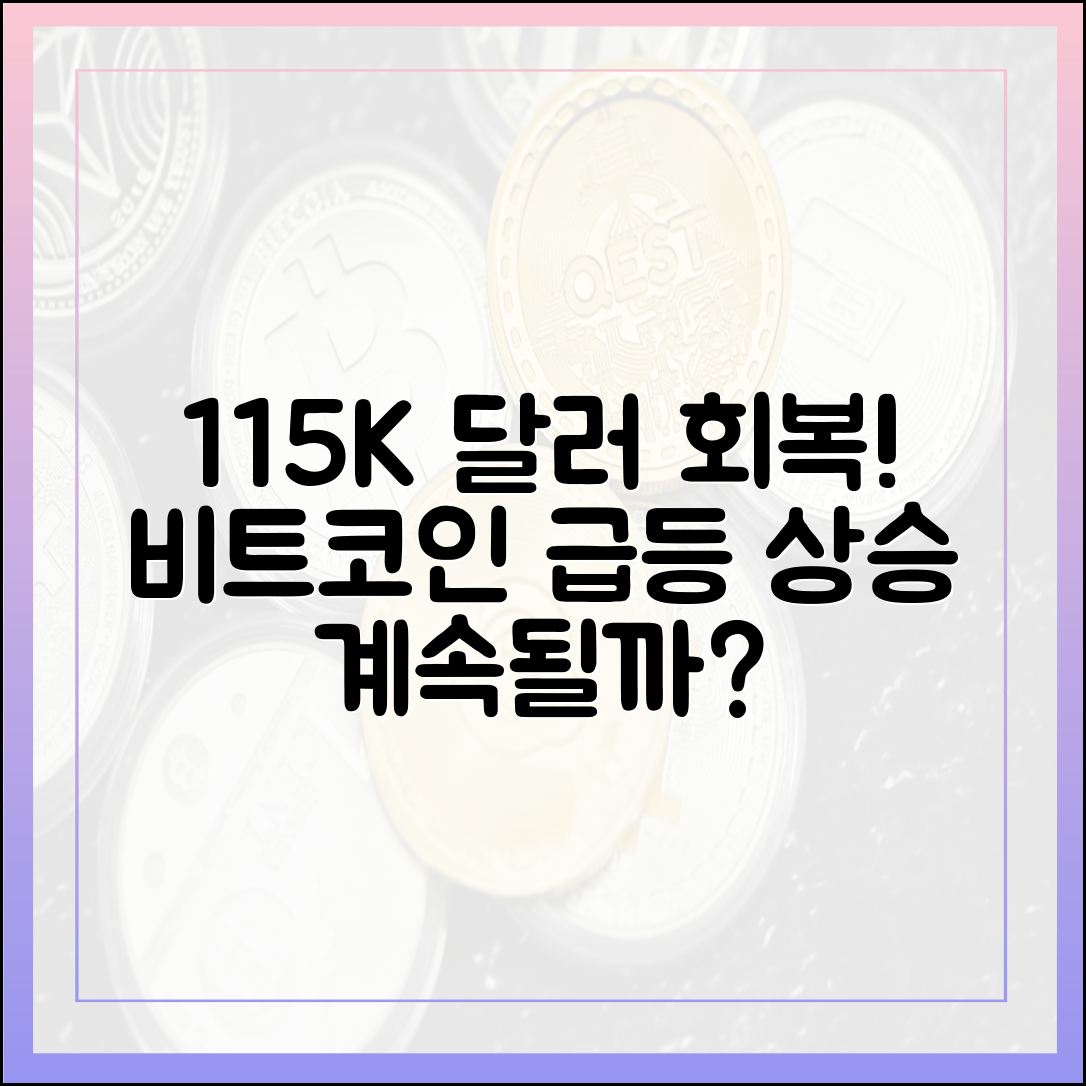 반등한 비트코인, 11만 5천 달러 회복… 이대로 계속 갈까요?