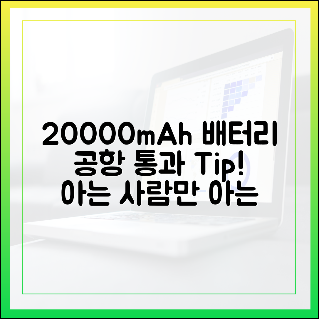 '아는 사람만 안다' 20000mAh 보조배터리 공항 통과 노하우