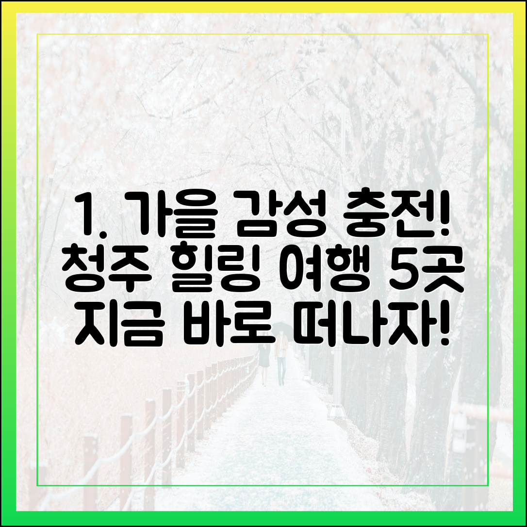 깊어가는 가을, 청주 감성여행 5곳