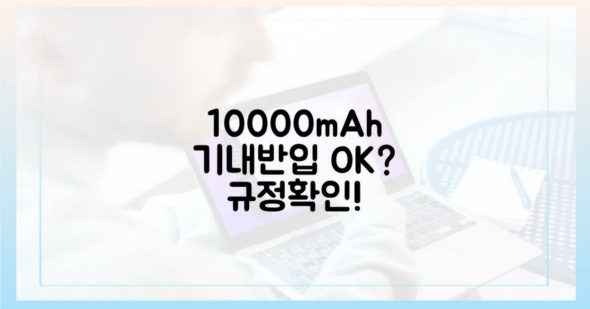 10000mAh, 기내 반입 규정 확인하세요!