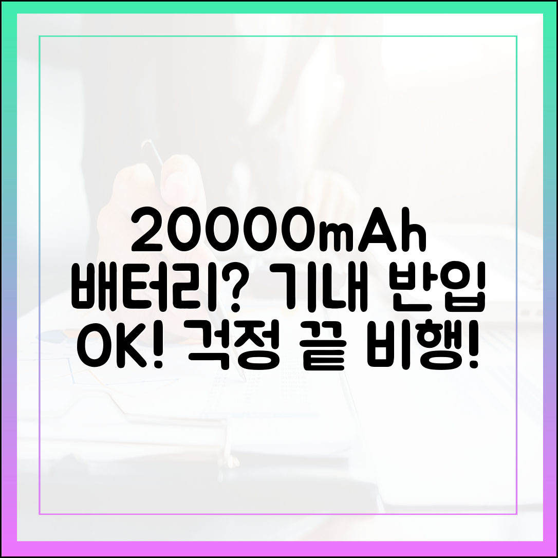 걱정은 끝! 20000mAh 보조배터리 휴대하고 안전하게 비행기 타는 법
