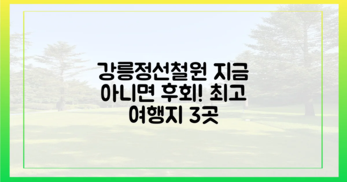 강릉·정선·철원, 놓치면 후회할 여행