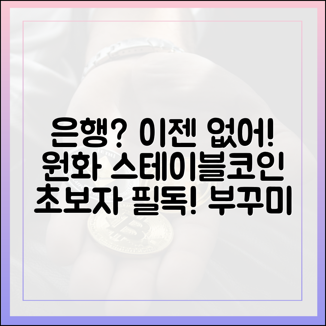 원화 스테이블코인: 초보자도 이해하는 은행 종말? [부꾸미