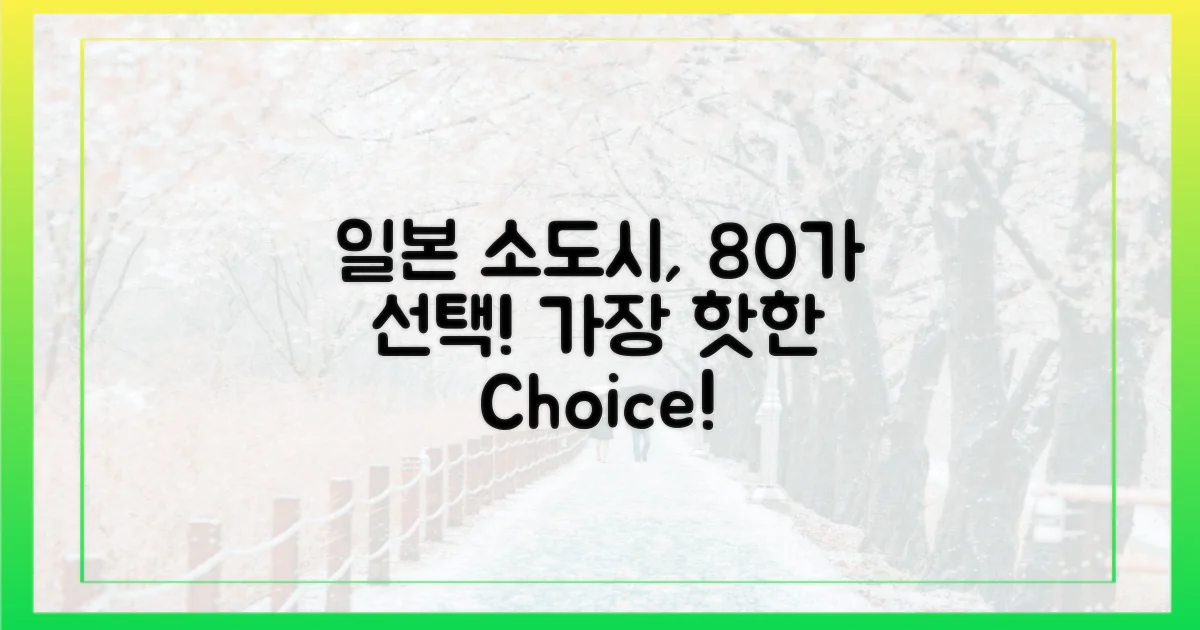 일본 소도시, 10명 중 8명 픽