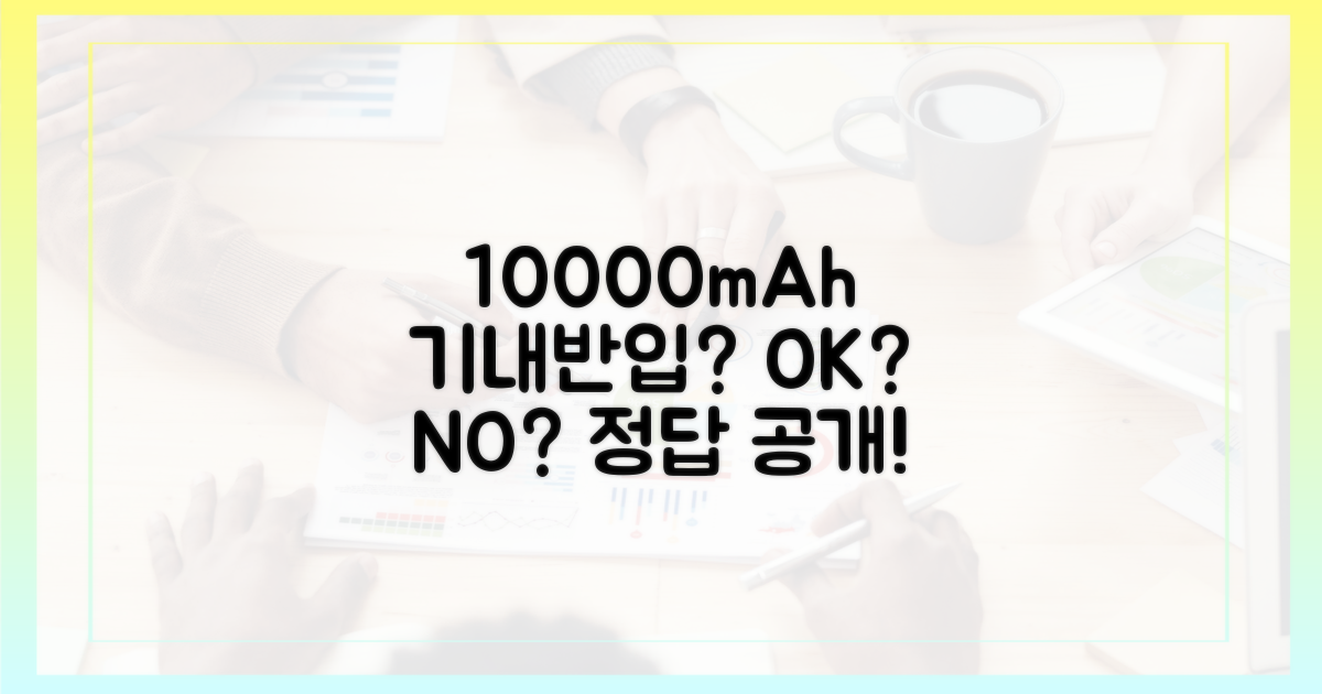10000mAh 용량, 기내 반입 가능한가요?