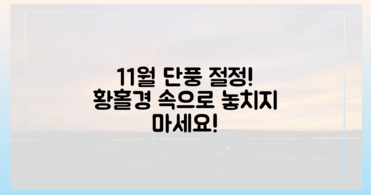 11월의 절정 단풍
