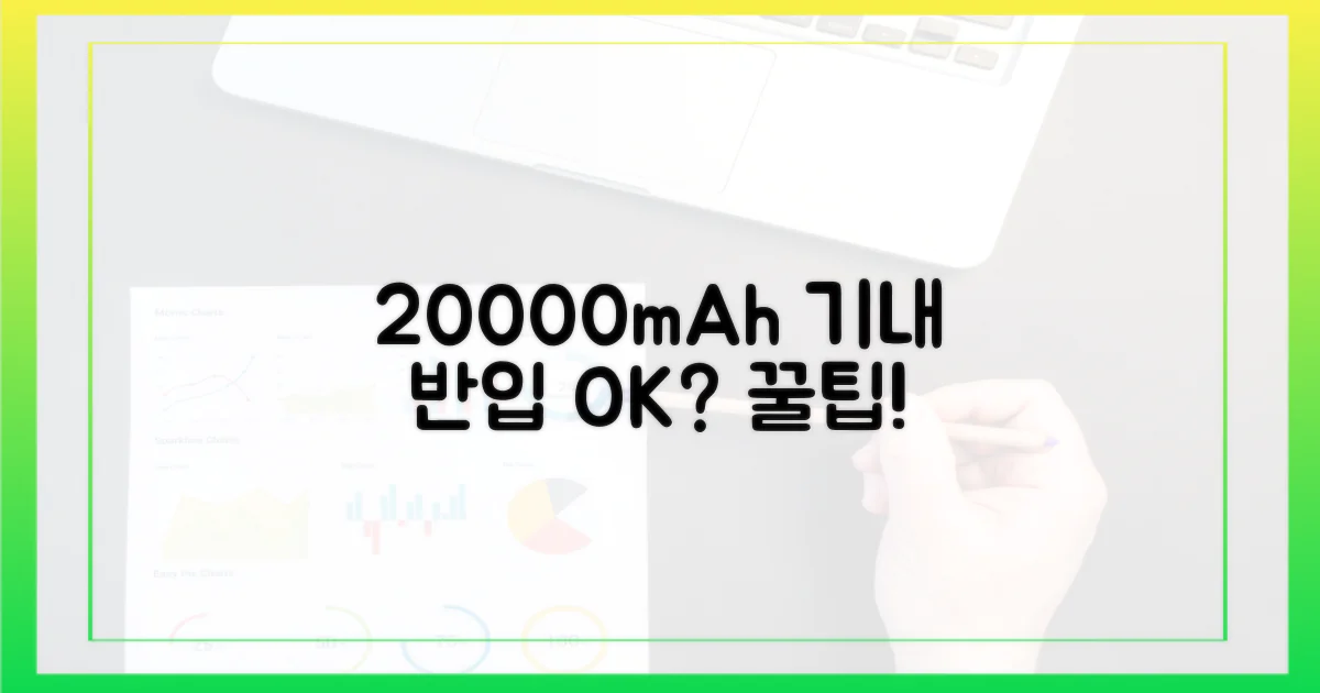 20000mAh, 기내 반입 허용?