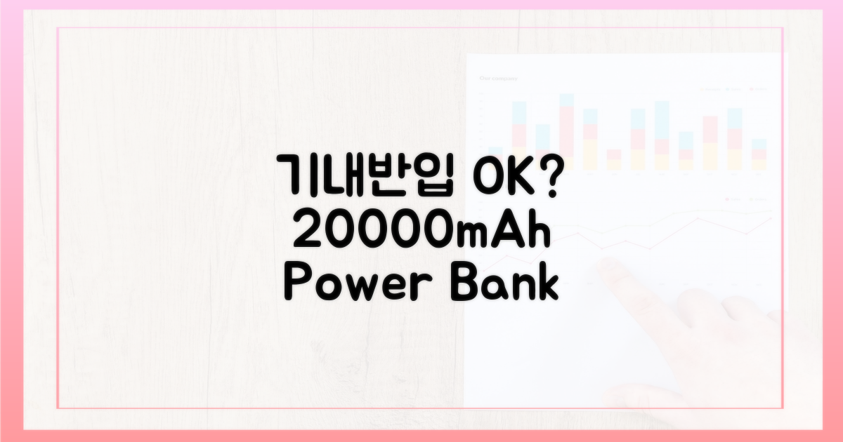 20000mAh, 기내 반입 가능할까?