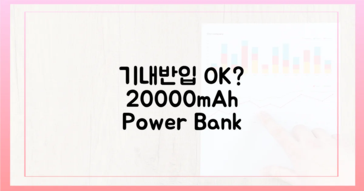 20000mAh, 기내 반입 가능할까?