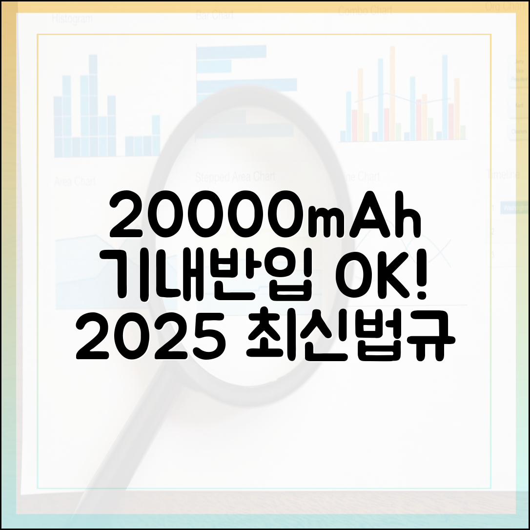 20000mAh 보조배터리, 기내 반입 개수와 보관법 (2025년 최신판)