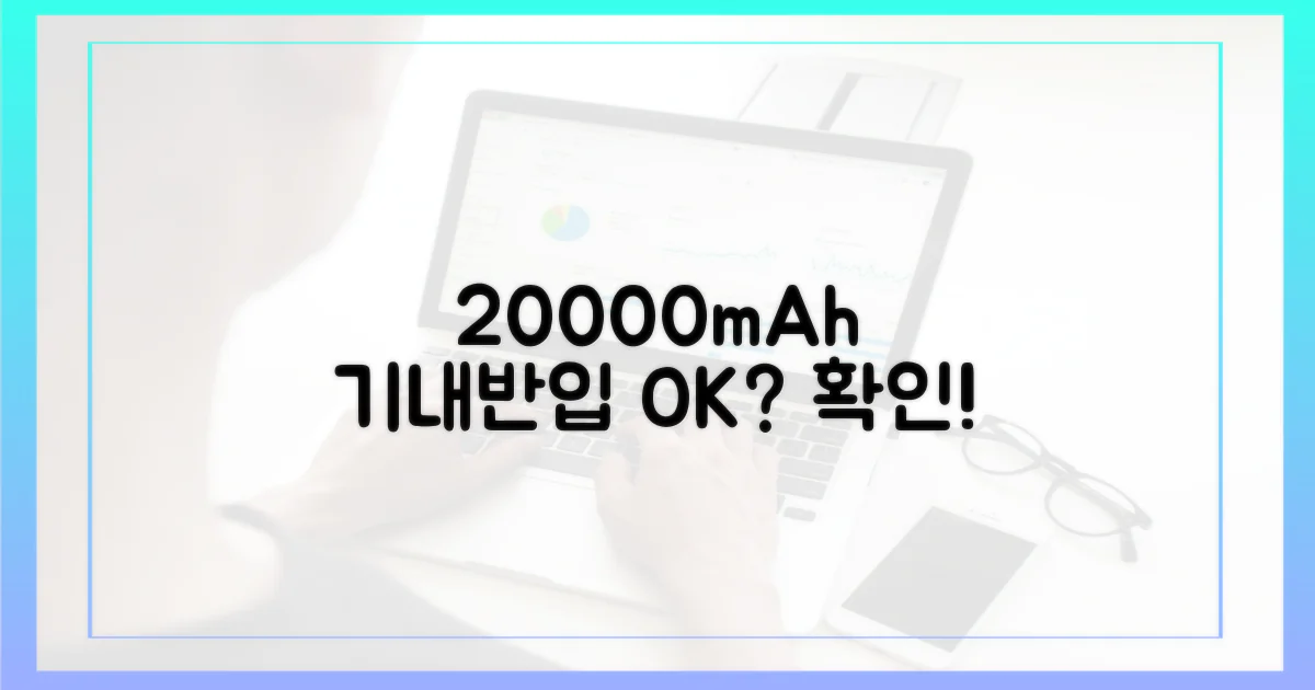 20000mAh, 기내 반입 가능할까?
