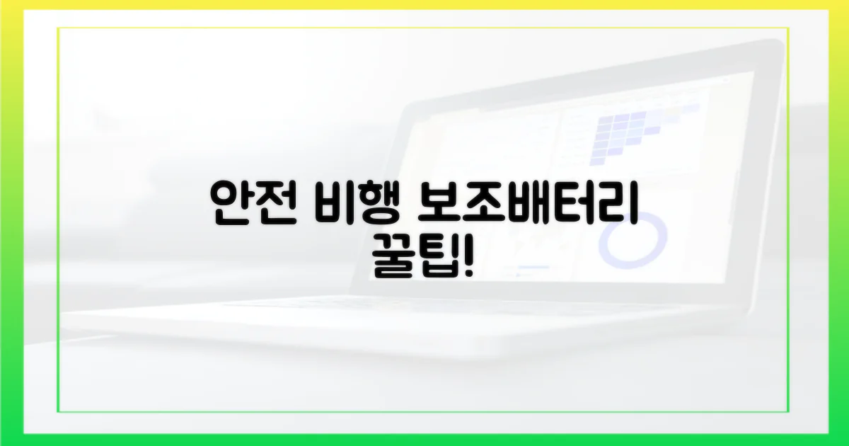안전한 비행, 보조배터리 팁!