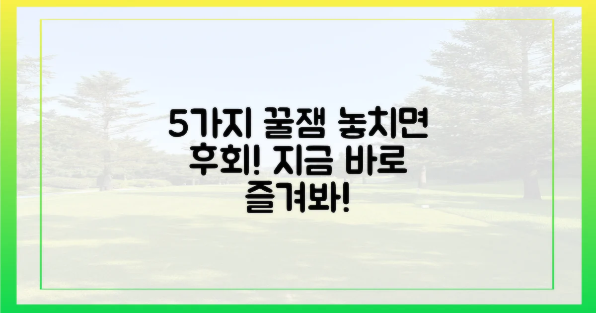 5가지 즐길 거리