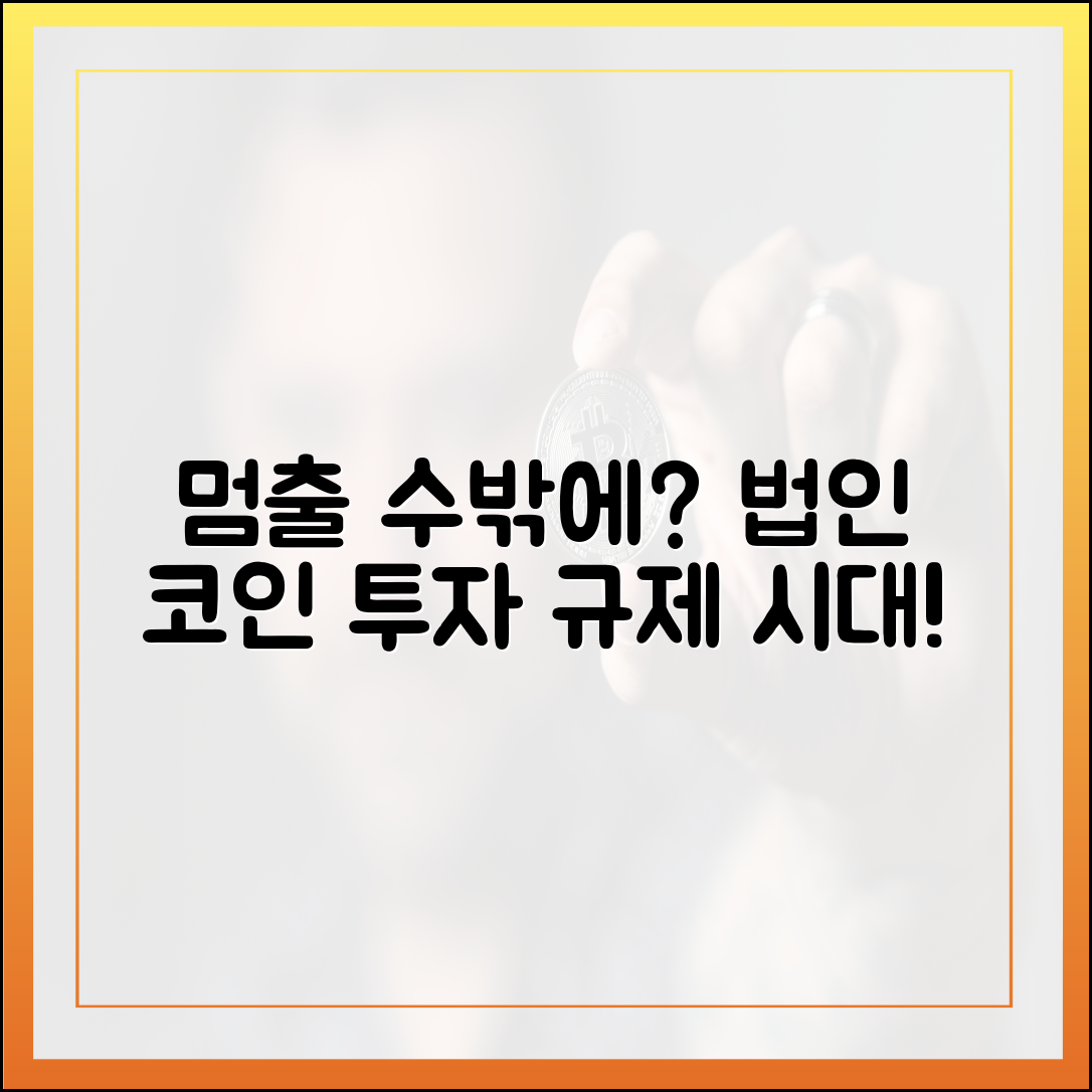 법인 코인 투자, 가이드라인 없이 멈출 수밖에 없을까?