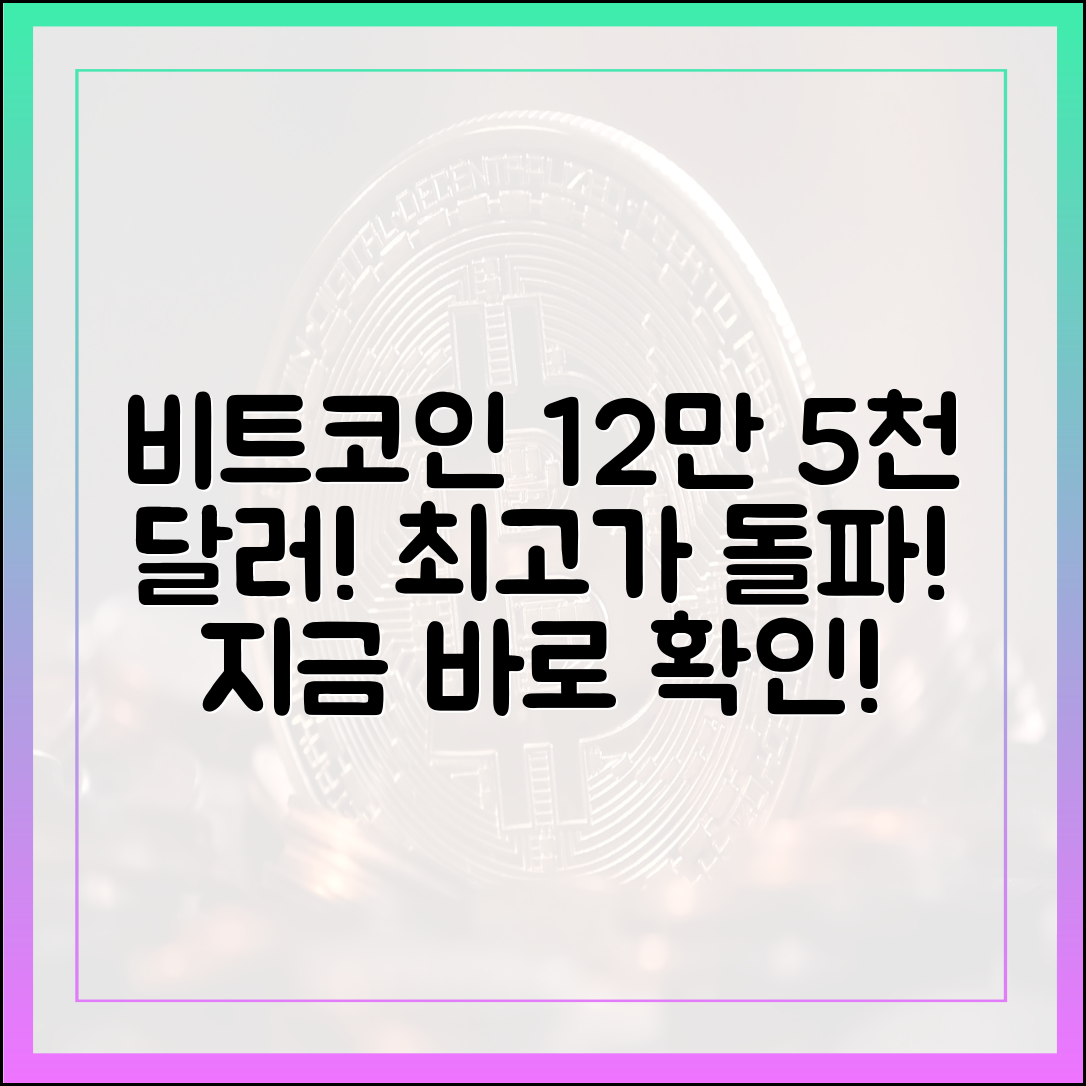 비트코인 최고가 돌파! 12만 5천 달러 가이드