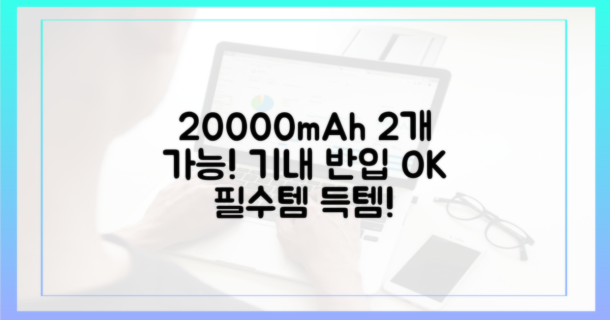 20000mAh, 2개까지 반입 가능