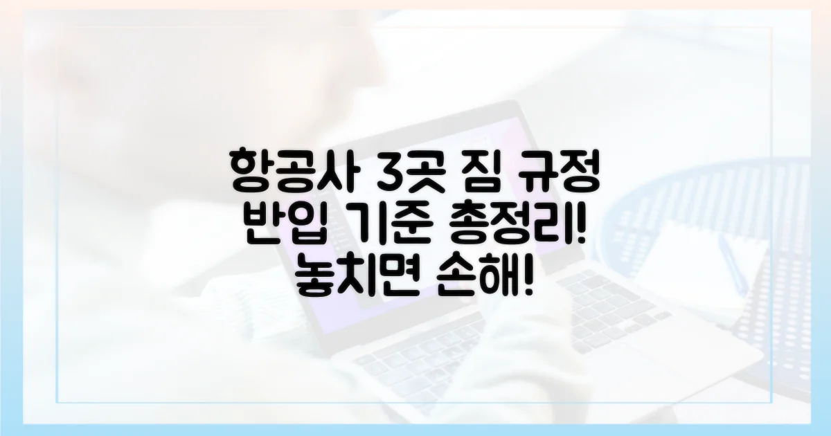 3가지 항공사별 반입 기준 확인