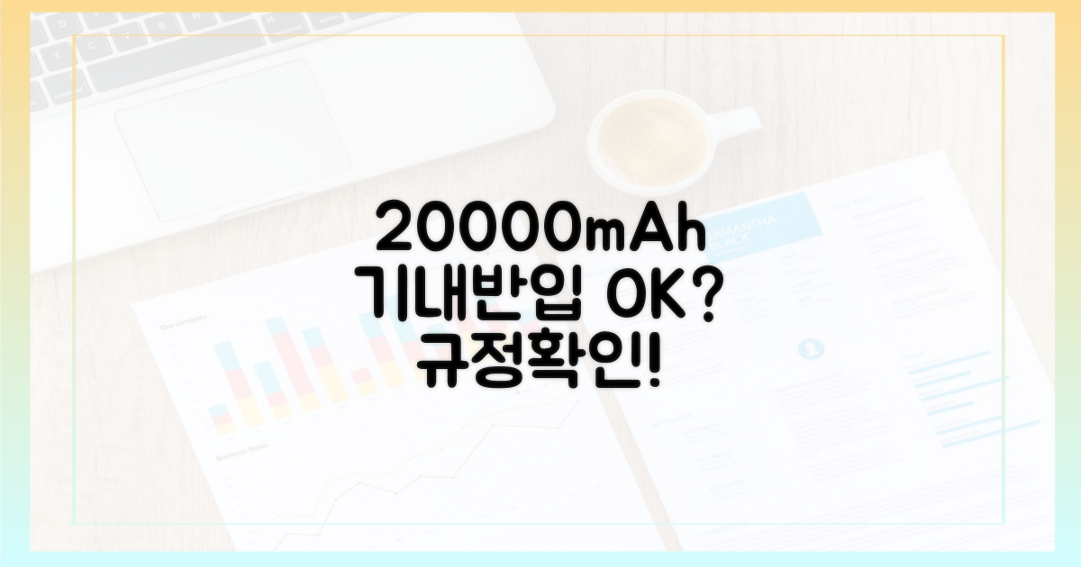 20000mAh, 기내 반입 규정 확인!