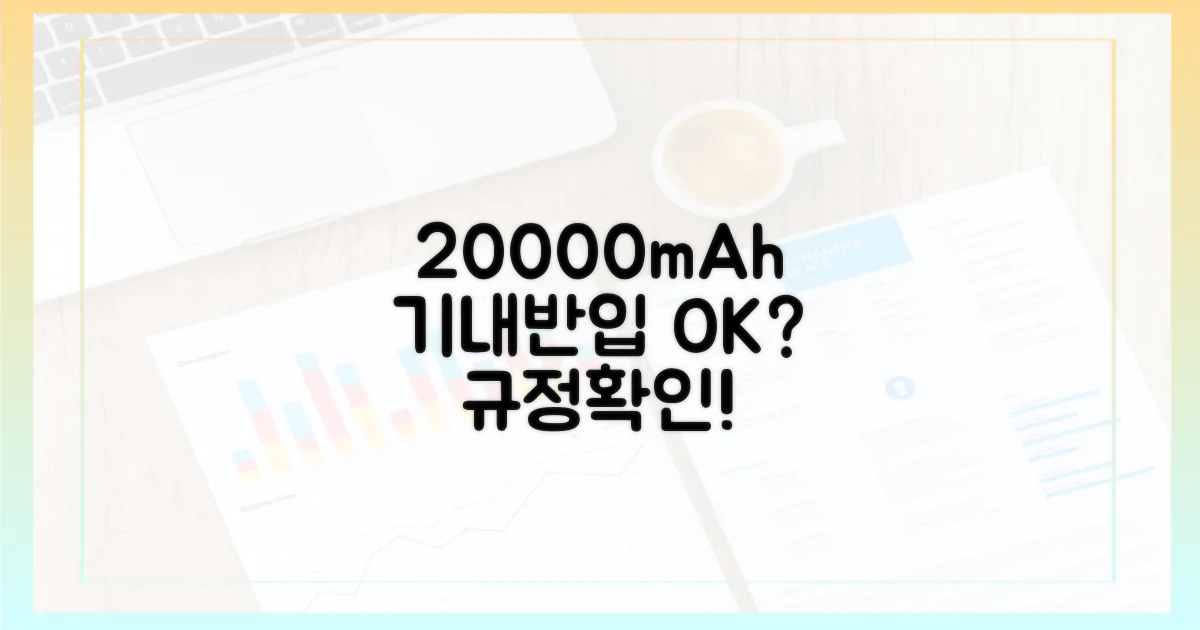 20000mAh, 기내 반입 규정 확인!