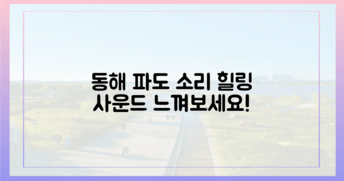 동해의 파도 소리를 느껴보세요!