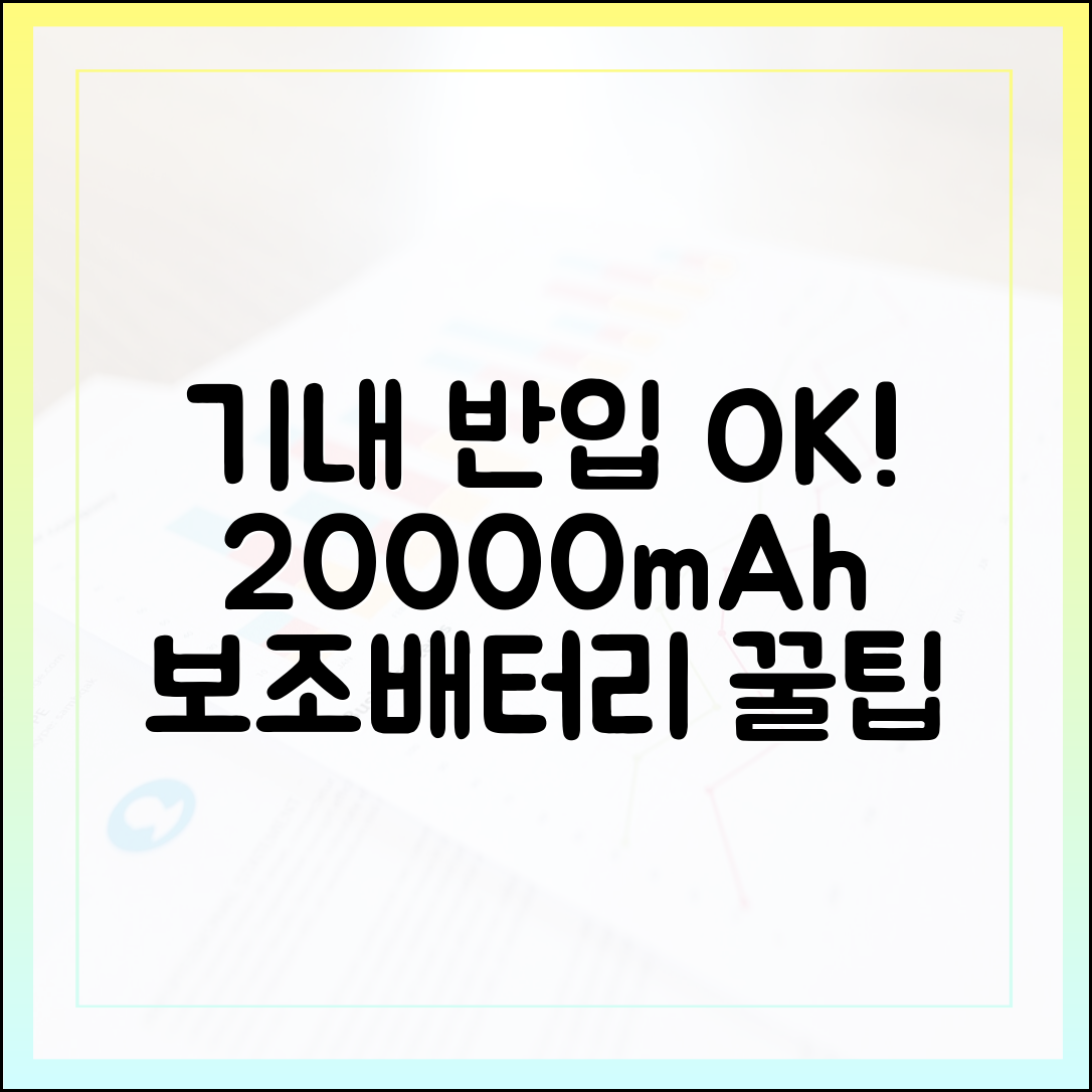 여행 필수품 20000mAh 보조배터리, 똑똑하게 비행기 반입하는 법