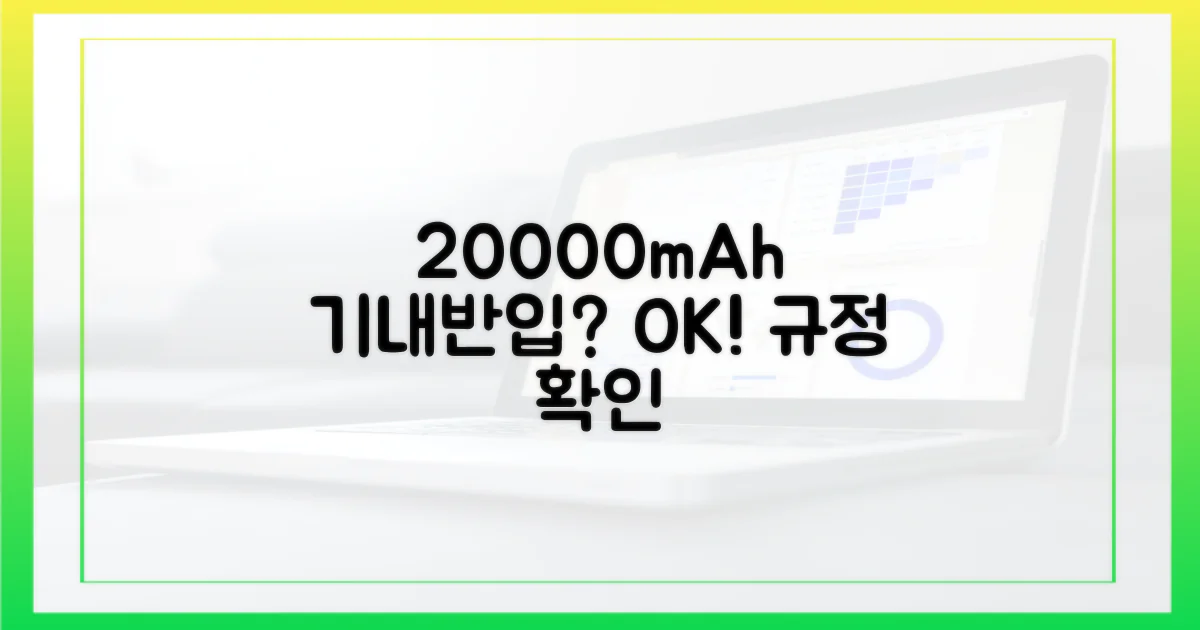 20000mAh 보조배터리, 기내 반입 규정