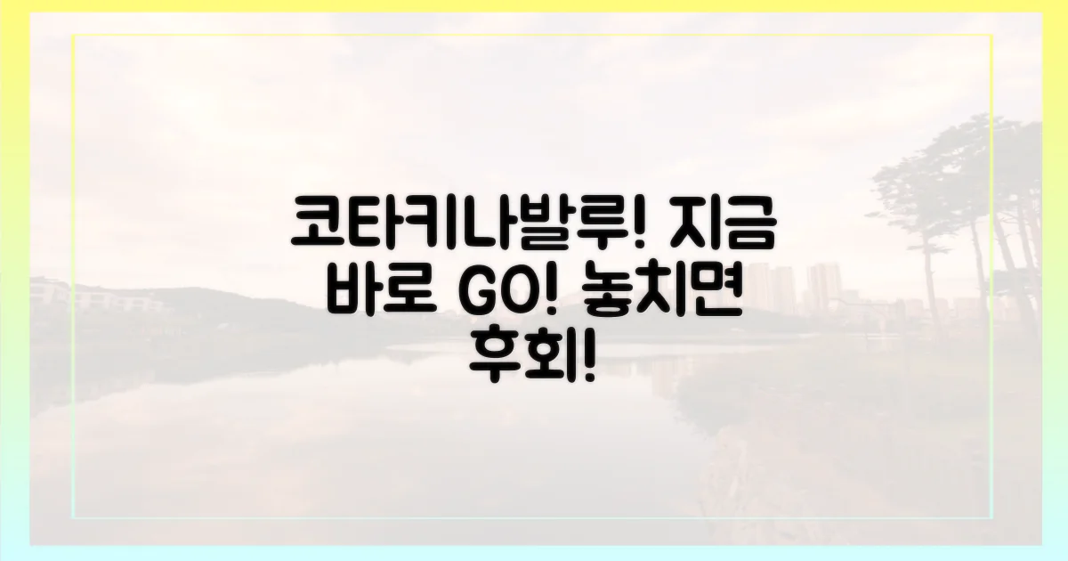 코타키나발루, 지금 예약해!