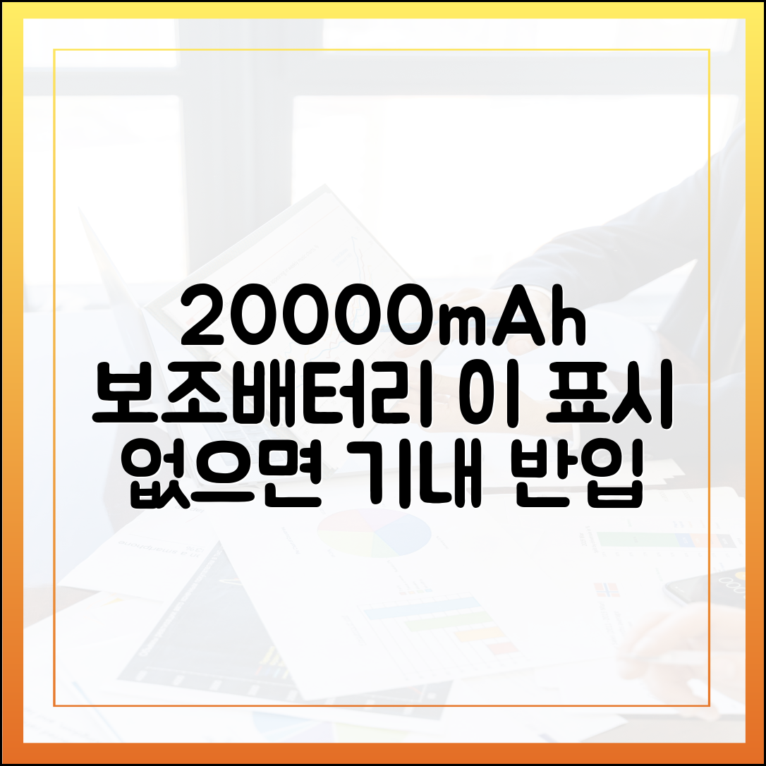 20000mAh 보조배터리, '이 표시' 없으면 기내 반입 거절될 수 있습니다