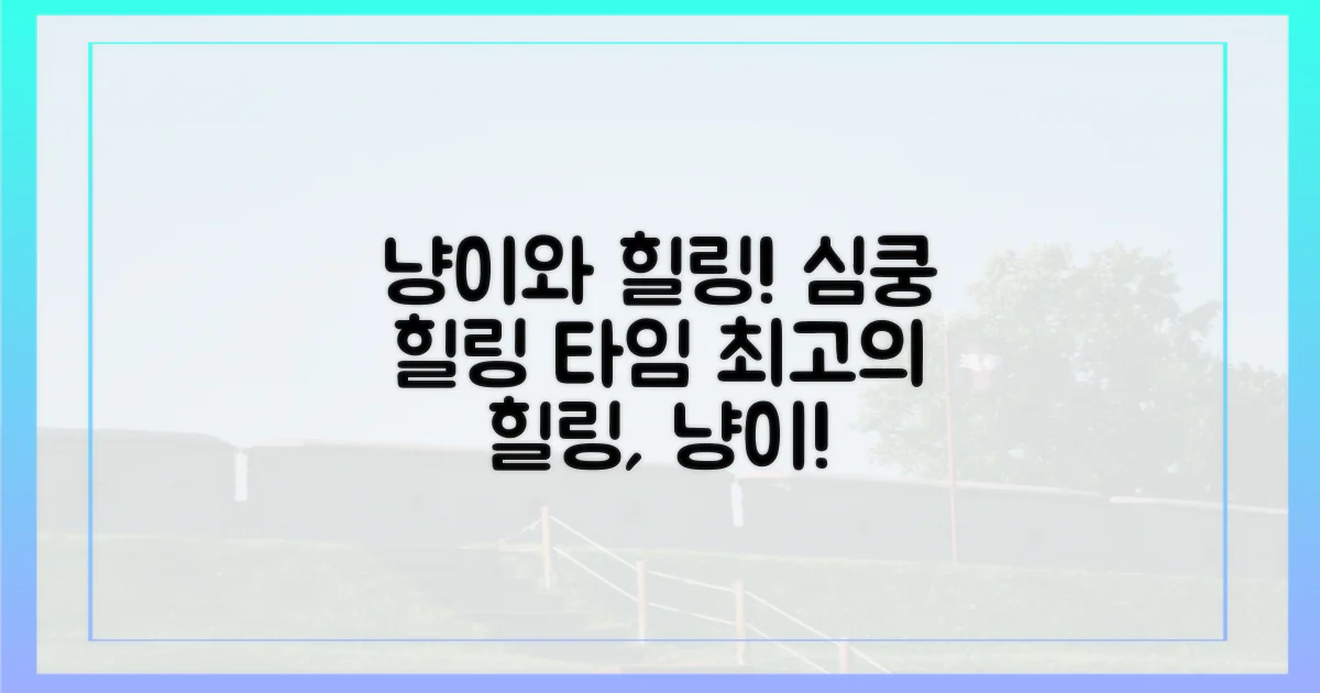 냥이와 함께 힐링해요