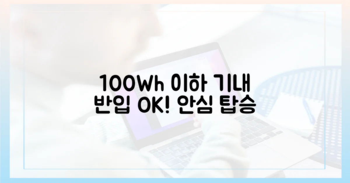 100Wh 이하, 안심하고 탑승