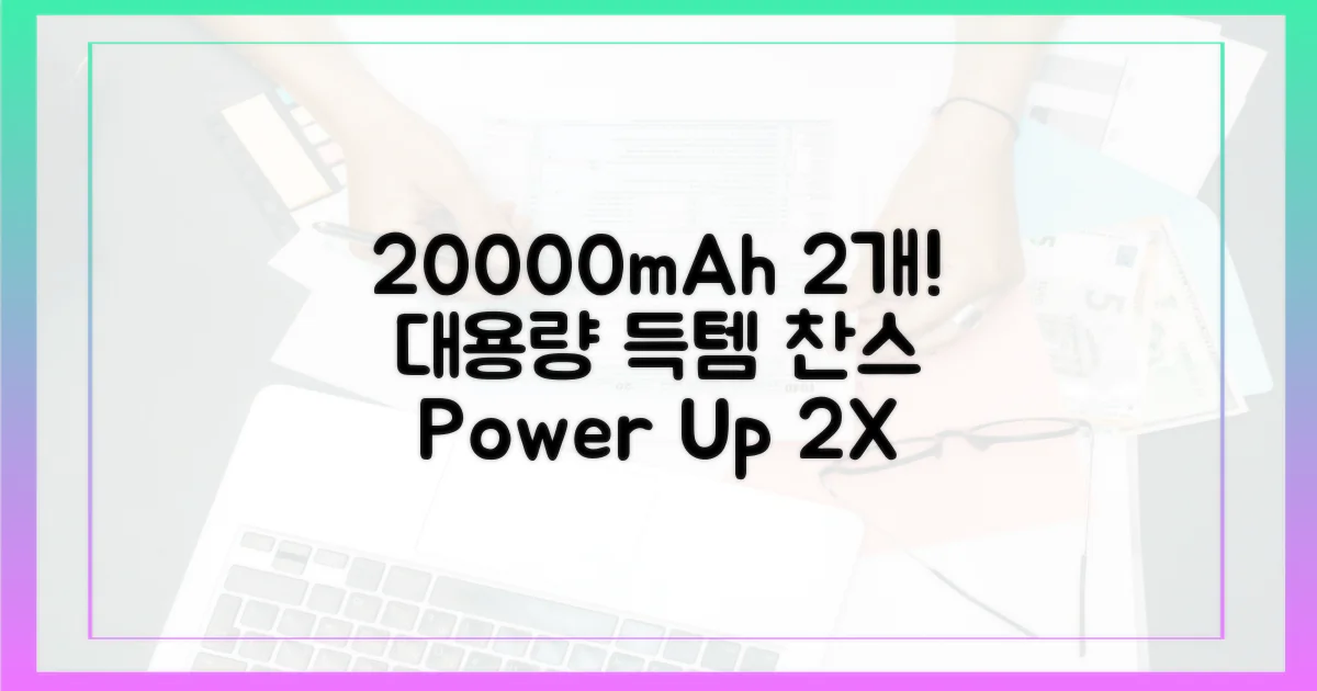 2개의 20000mAh 보조배터리
