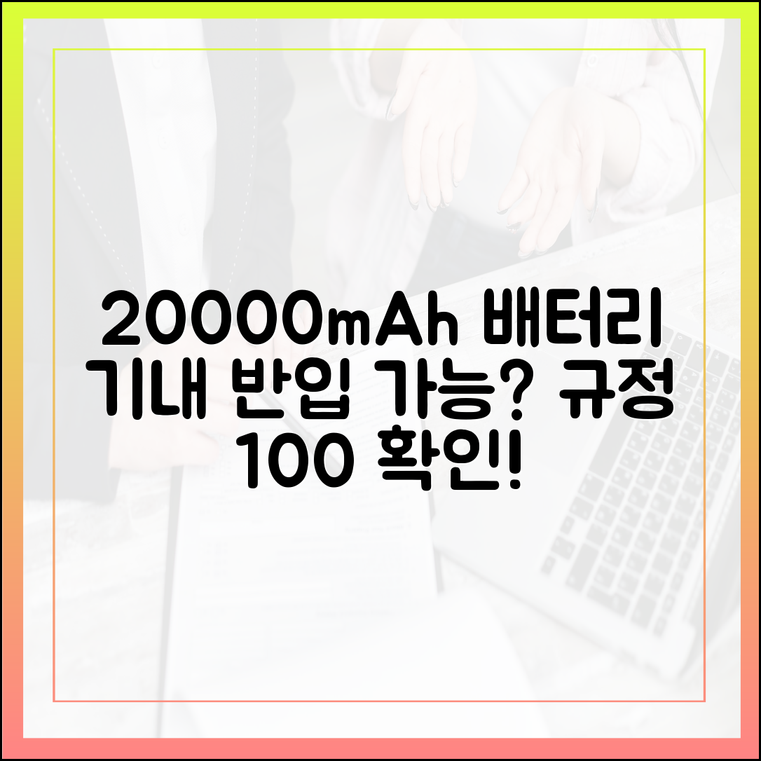 블로그만 믿지 마세요! 20000mAh 보조배터리 기내 반입 공식 규정 확인법