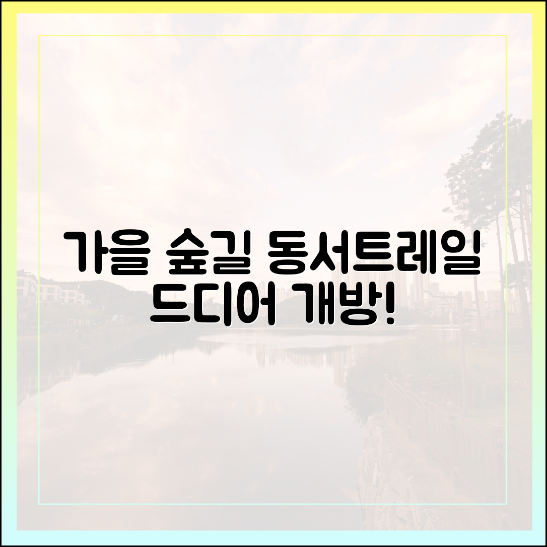 가을 숲길 여행 마스터: 동서트레일 시범 개통!