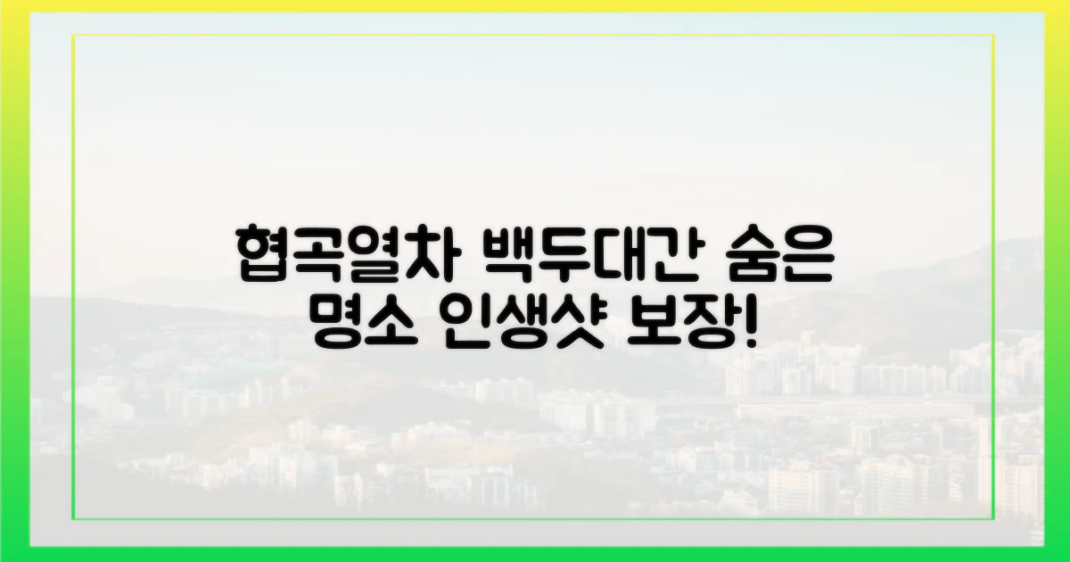 백두대간 협곡열차의 매력