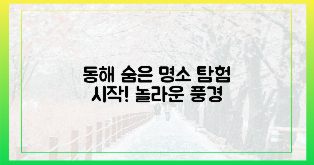 동해안 숨은 명소 탐험