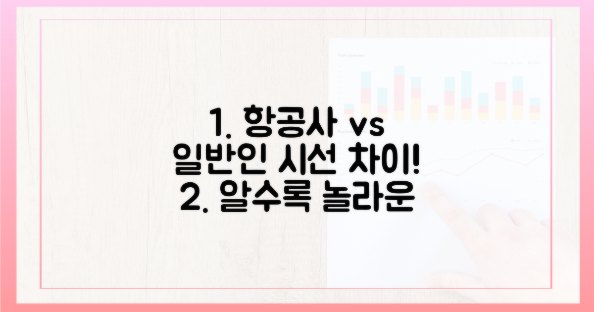 일반인 vs 항공사 시각