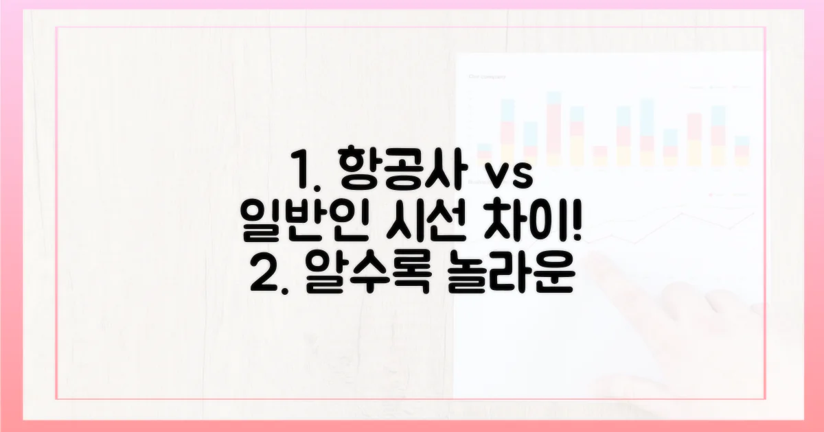 일반인 vs 항공사 시각