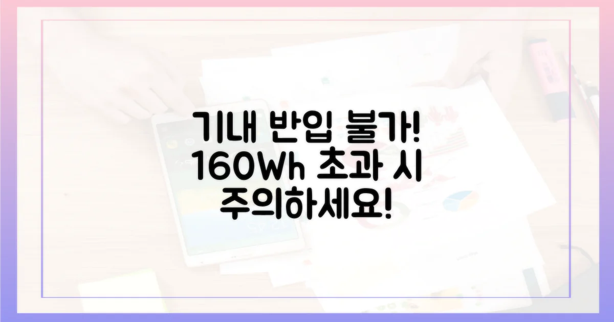 160Wh 초과, 기내 반입 불가