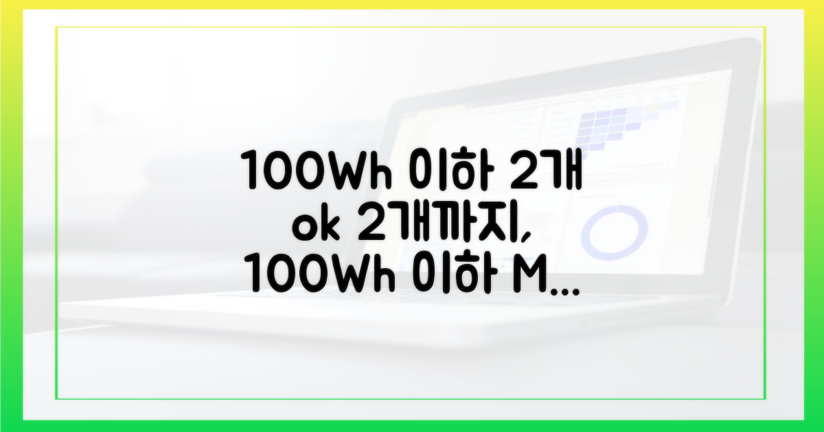 100Wh 이하, 2개까지 가능