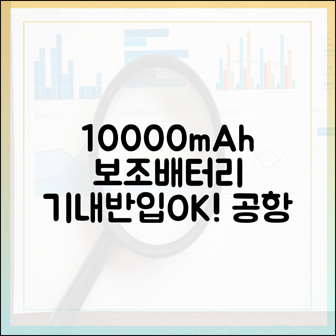 10000mAh 보조배터리 기내 반입, 공항 보안 검색대 통과 노하우