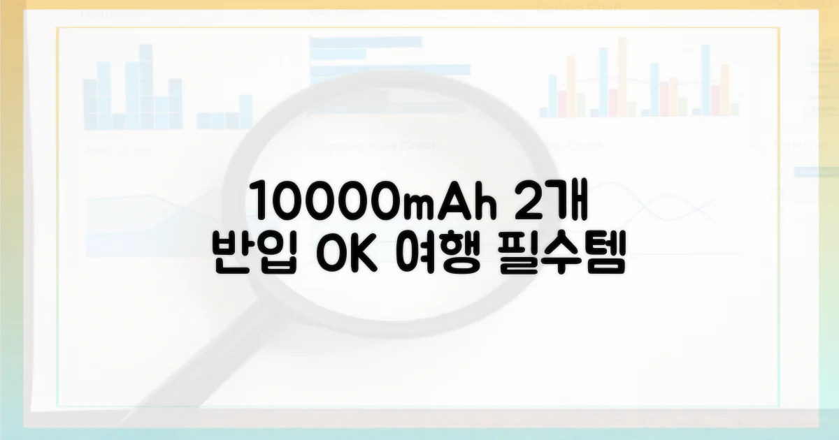 10000mAh, 2개까지 반입 가능