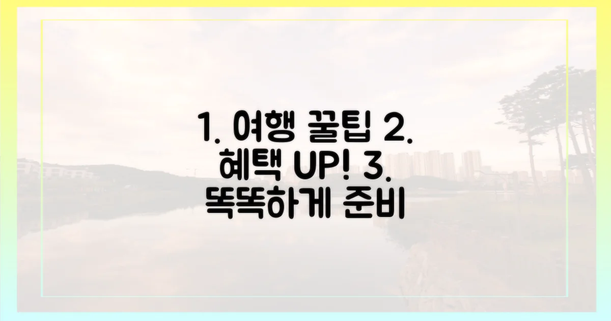 현명한 여행 준비, 혜택 극대화