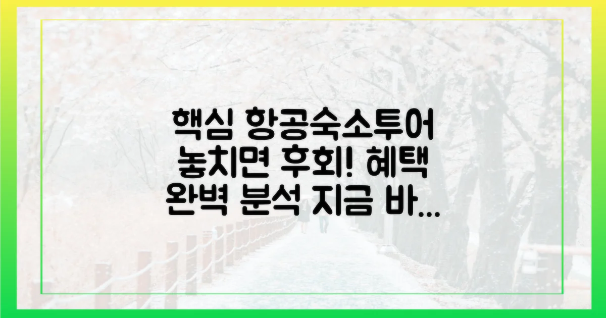 항공, 숙소, 투어 혜택 집중 분석