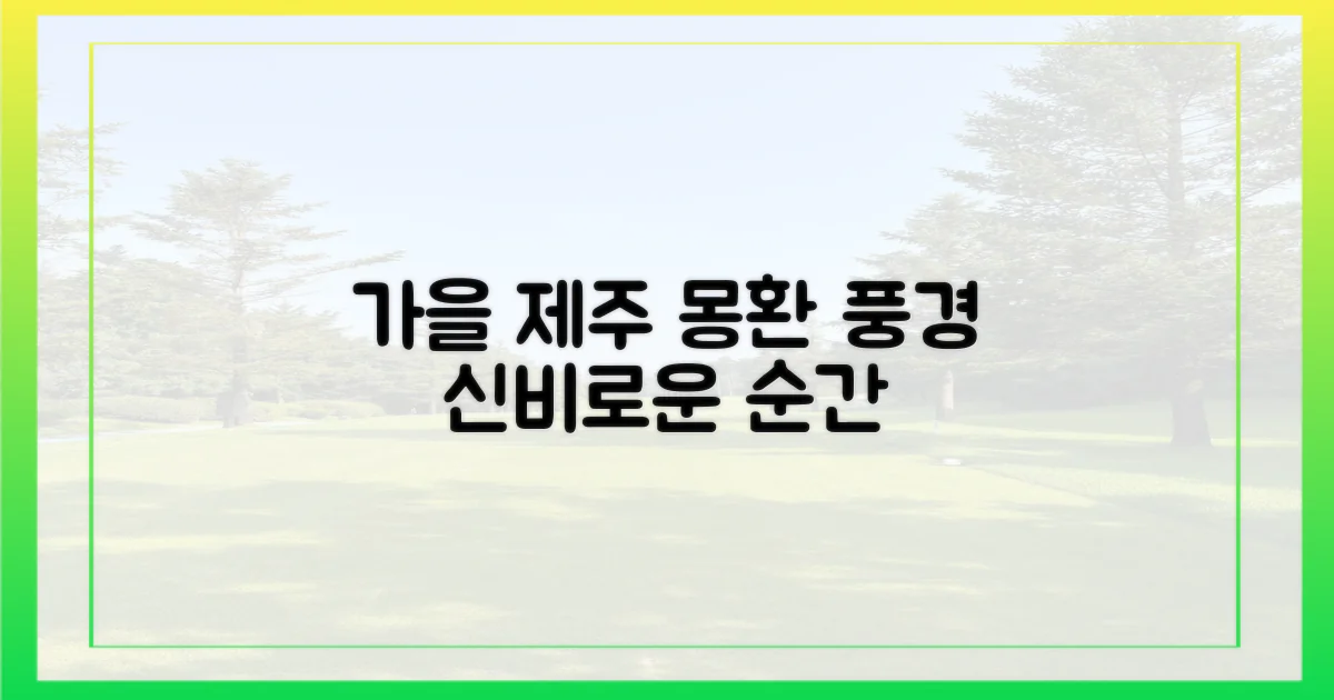 가을 제주, 몽환적인 풍경은?