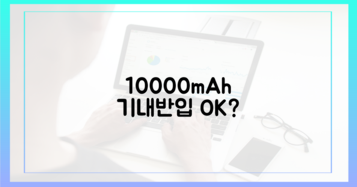 10000mAh, 항공 규정은?