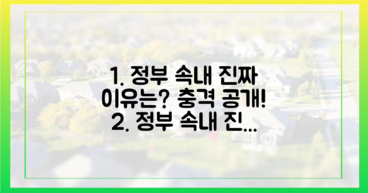 정부의 진짜 속내는?