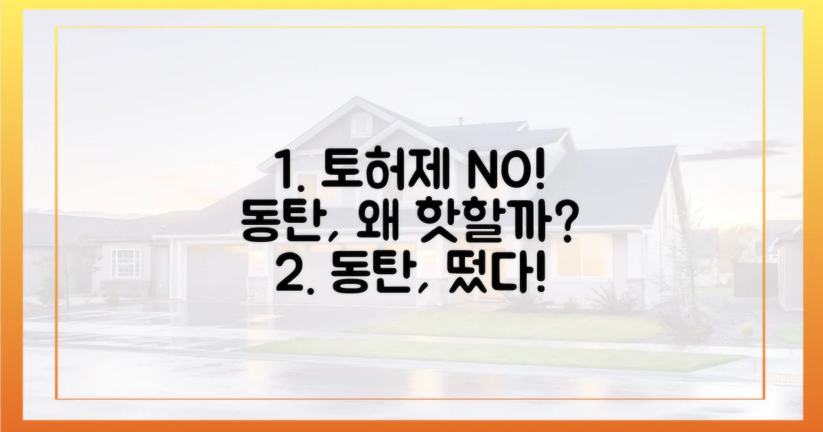 토허제 피한 동탄, 왜 인기일까?